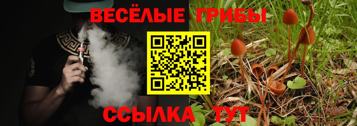 Щёкино  Псилоцибиновые грибы мухоморы  где найти   Вход с VPN  Галлюциногенные грибы Cubensis 